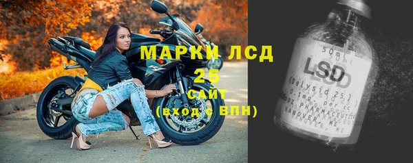 прущие грибы Сосновка