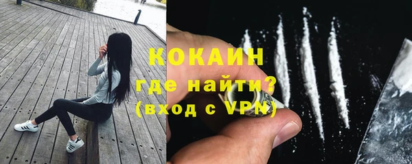 прущие грибы Сосновка