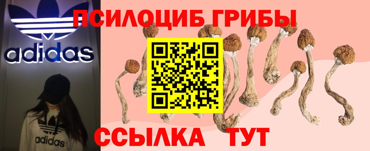наркошоп  Вход с VPN  Беслан  Галлюциногенные грибы Psilocybine cubensis 